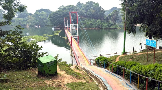 image-here